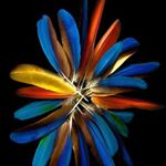 Profile Picture of Scott Ruffner (@big_scott986) on Instagram
