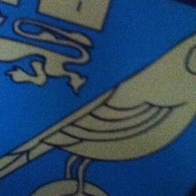 Profile Picture of Joe Doggett (@doggett_joe) on Twitter