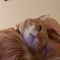 Profile Picture of Eric Pethers (@eric.pethers) on Facebook