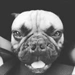 Profile Picture of Kai Uwe (@janickedaniel) on Instagram