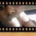 Profile Picture of Jamesia Booker (@jamesia.booker.1) on Facebook