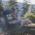 Profile Picture of Matthew Greening (@foxandburl) on Instagram