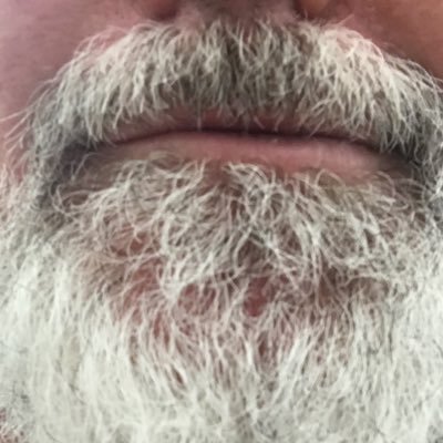 Profile Picture of Scott Holle (@HolleScott) on Twitter