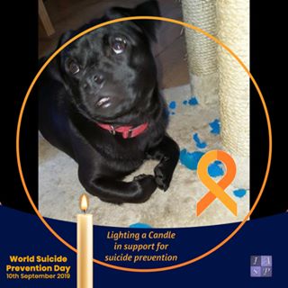 Profile Picture of Vivienne Mullowney (@vivienne.mullowney) on Facebook