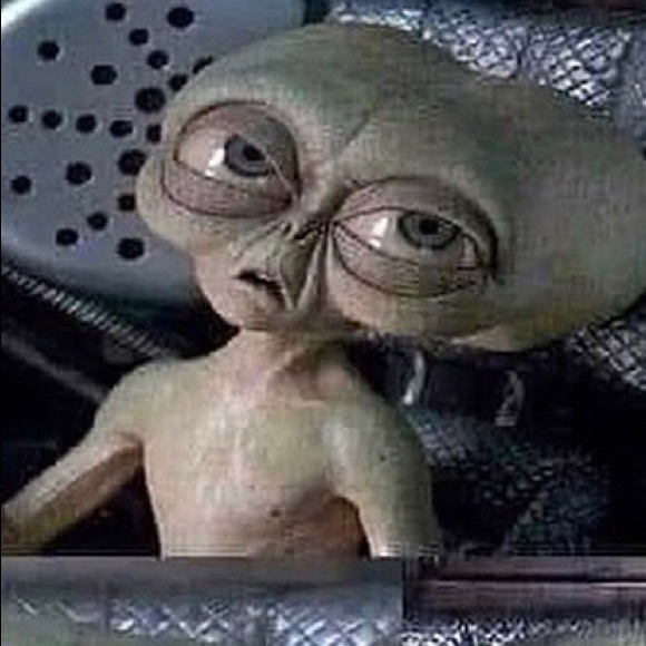 Profile Picture of Sam Kushner (@samkushner) on Poshmark