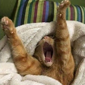 Profile Picture of Andre Grey (@andregrey913) on Youtube