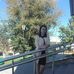 Profile Picture of Amanda Sample (@Amanda-Sample) on Facebook