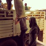 Profile Picture of Andrew Kent (@andrewrkent) on Instagram