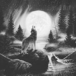 Profile Picture of Todd Lindquist (@tjams1014) on Instagram