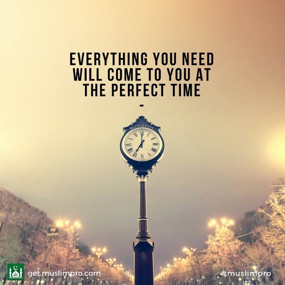 Profile Picture of Asmira Hukic (@ahukic) on Poshmark