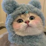 Profile Picture of Jerry Tung (@x_05_20) on Instagram