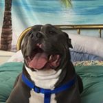 Profile Picture of Larry Hollenbeck (@lehollenbeck) on Instagram