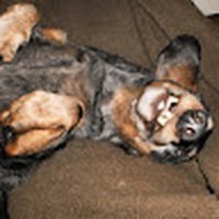 Profile Picture of Ann Traynor-plowman (@ann-traynor-plowman) on Quora