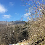 Profile Picture of Lachlan McLean (@lachlanmclean8835) on Youtube