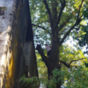 Profile Picture of Nicolas Armstrong (@nicolasarmstrong7136) on Youtube