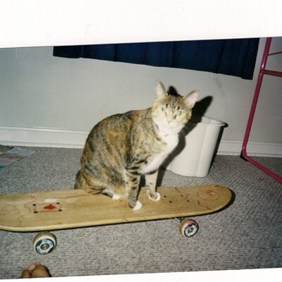 Profile Picture of Savannah Lacey (@keith278) on Twitter
