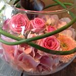 Profile Picture of Caroline Verleene (@aujardindelea) on Instagram