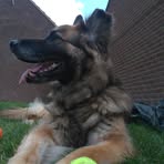 Profile Picture of Roberta Westley (@Roberta-Westley) on Facebook