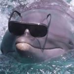 Profile Picture of Joshua (@joshua_brunelle) on Instagram