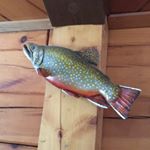 Profile Picture of Shawn Loughlin (@loughlinshawn) on Instagram