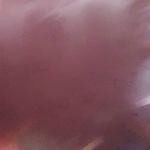 Profile Picture of jacob judd (@judd_145) on Instagram