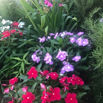 Profile Picture of Janetalday (@janetalday24) on Twitter