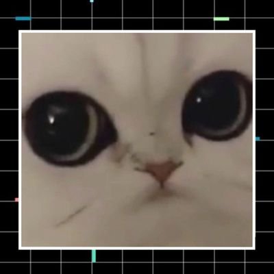 Profile Picture of СЕРИАЛОМАН  😍 🤤 🔞 (@AlyaLushnikova) on Twitter
