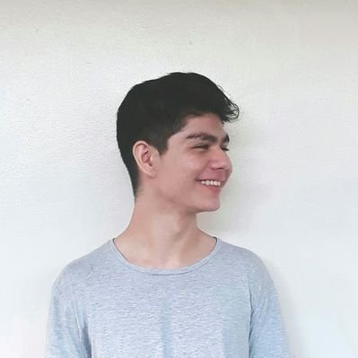 Profile Picture of Luis Alfonso (@luigilocsin) on Twitter