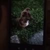 Profile Picture of Αλεξης Αναγνωστοπουλ (@@alexisanagnostopoulos0) on Tiktok