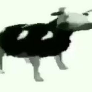 Profile Picture of Adam Delisle317 (@adamdelisle2) on Tiktok