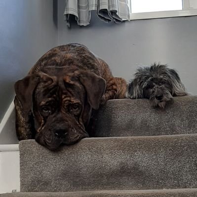 Profile Picture of Gary Stocker (@GaryStocker4) on Twitter