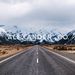 Profile Picture of Alexander & Co (@alexanderandco) on Pinterest