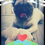 Profile Picture of David Neff (@dvid.neff) on Instagram