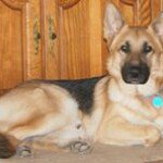 Profile Picture of Richard Pickens (@old_grizzly_) on Instagram