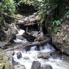 Profile Picture of Fernando Cordon (@fernando4740167) on Twitter