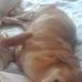 Profile Picture of Robert Jarosz (@robert.jarosz.10485) on Facebook