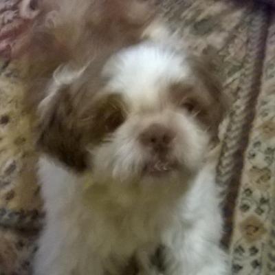 Profile Picture of LaDonna Lee (@LLee2010) on Twitter