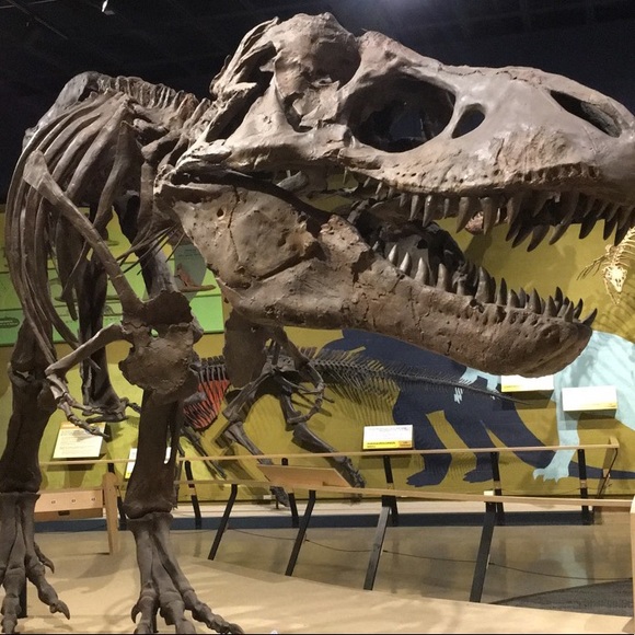 Profile Picture of Michael Prosen (@mprozaic) on Poshmark