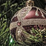 Profile Picture of Tony Schock (@tcqwr93) on Instagram