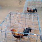 Stephen Palmon - Facebook Profile Picture of Stephen Palmon (@stephen.palmon.39) on Facebook