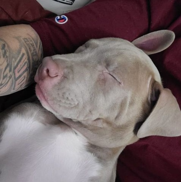 Profile Picture of Alta Walkowski (@marieseeley128) on Poshmark