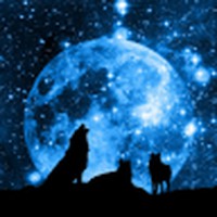 Profile Picture of Kylee Schmid (@kylee-schmid) on Quora