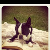Profile Picture of Hope Quinn (@hope-quinn-11) on Quora