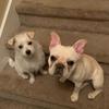 Profile Picture of Jacquelyn Holt (@@jacquelynholt0) on Tiktok