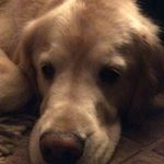 Profile Picture of Stacey Duff (@stacey.duff.50) on Instagram