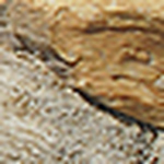 Profile Picture of luis isaza (@luisisaza) on Flickr