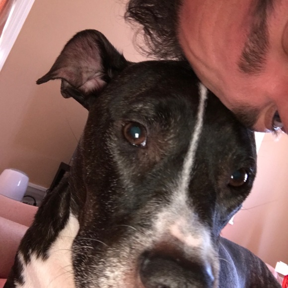 Profile Picture of Tiberiu Stanicel (@tibistanicel) on Poshmark