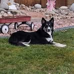 Profile Picture of Dominique Lucero (@domimique.lucero) on Facebook