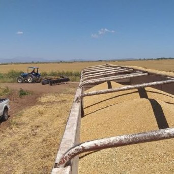 Profile Picture of RENE ANDRES SILVA SAENZ (@RENEANDRESSILV1) on Twitter