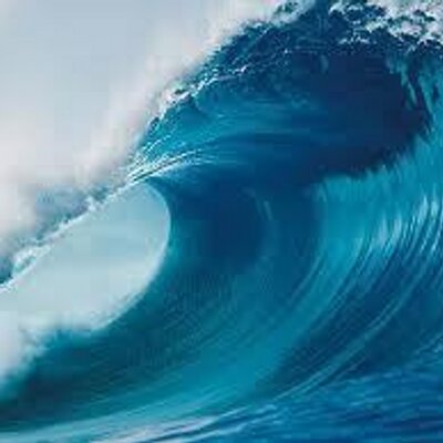 Profile Picture of David Fusaro (@dadefu) on Twitter